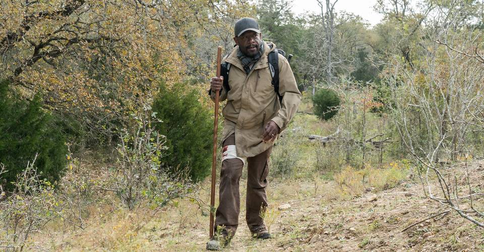 Lennie James Opens Up on Morgans Fear The Walking Dead Crossover Lennie James Opens Up on Morgans Fear The Walking Dead Crossover